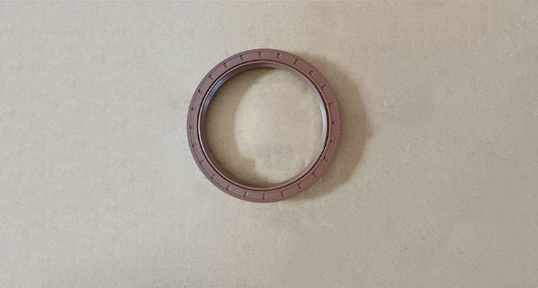 combination oil seal