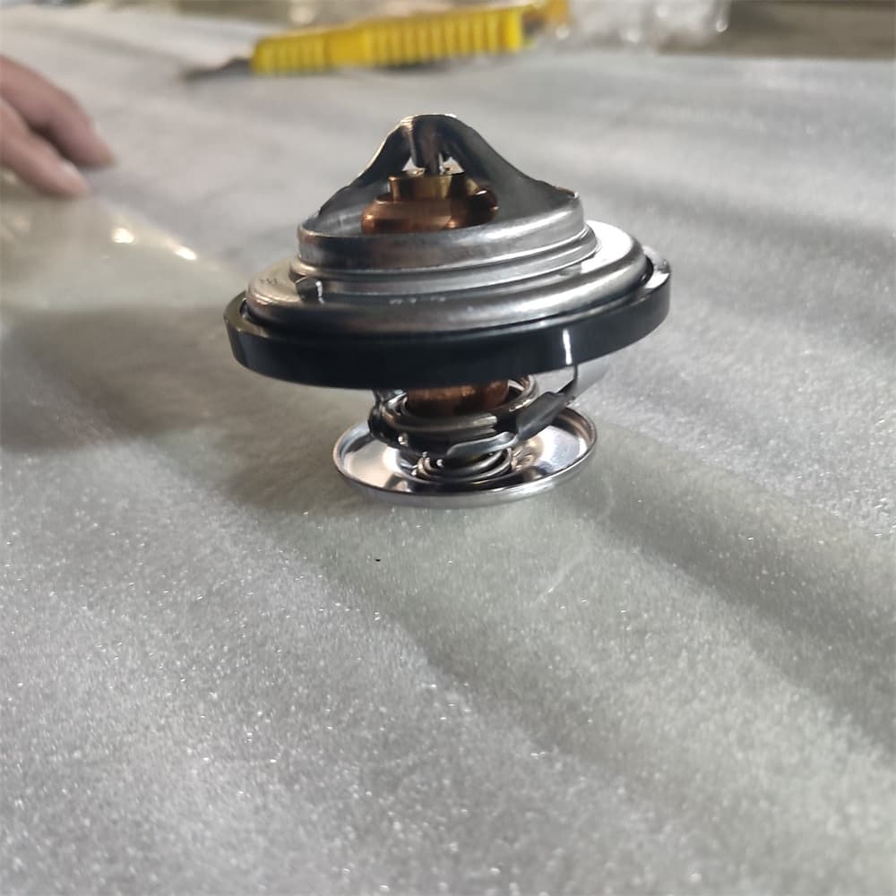 Thermostat (85℃~95℃)