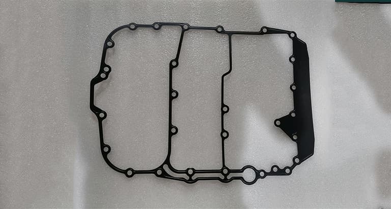 Transmission Control Unit Gasket