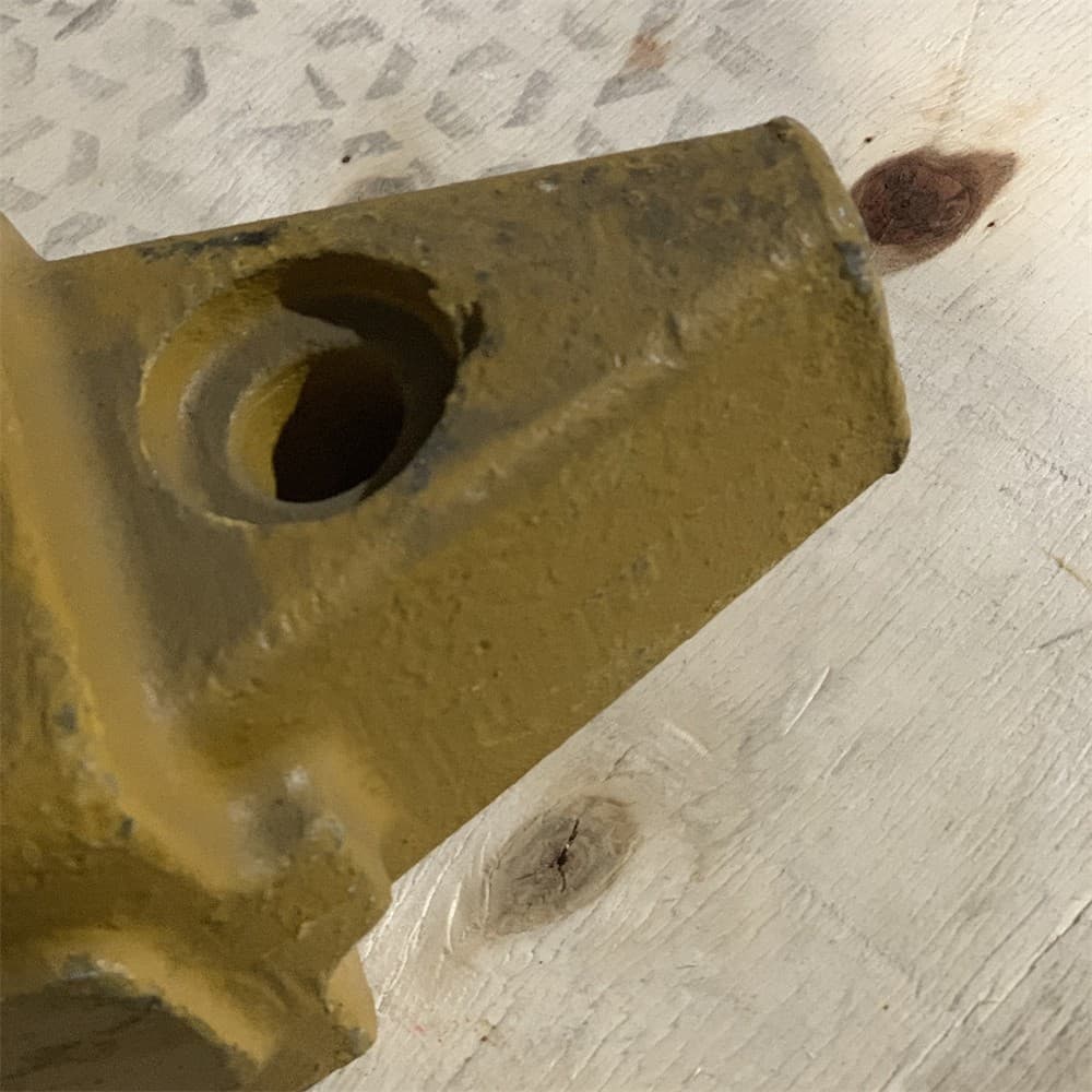 base of tooth