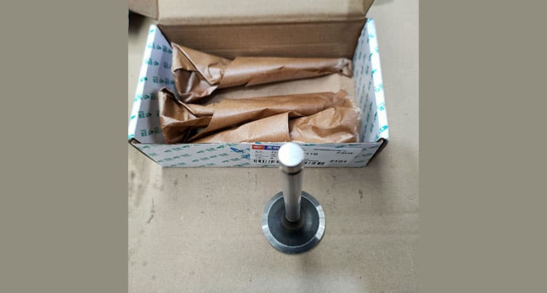 XCMG Intake valve D30-1003111B