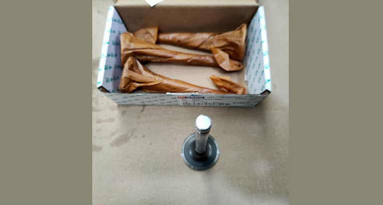 Exhaust valve
