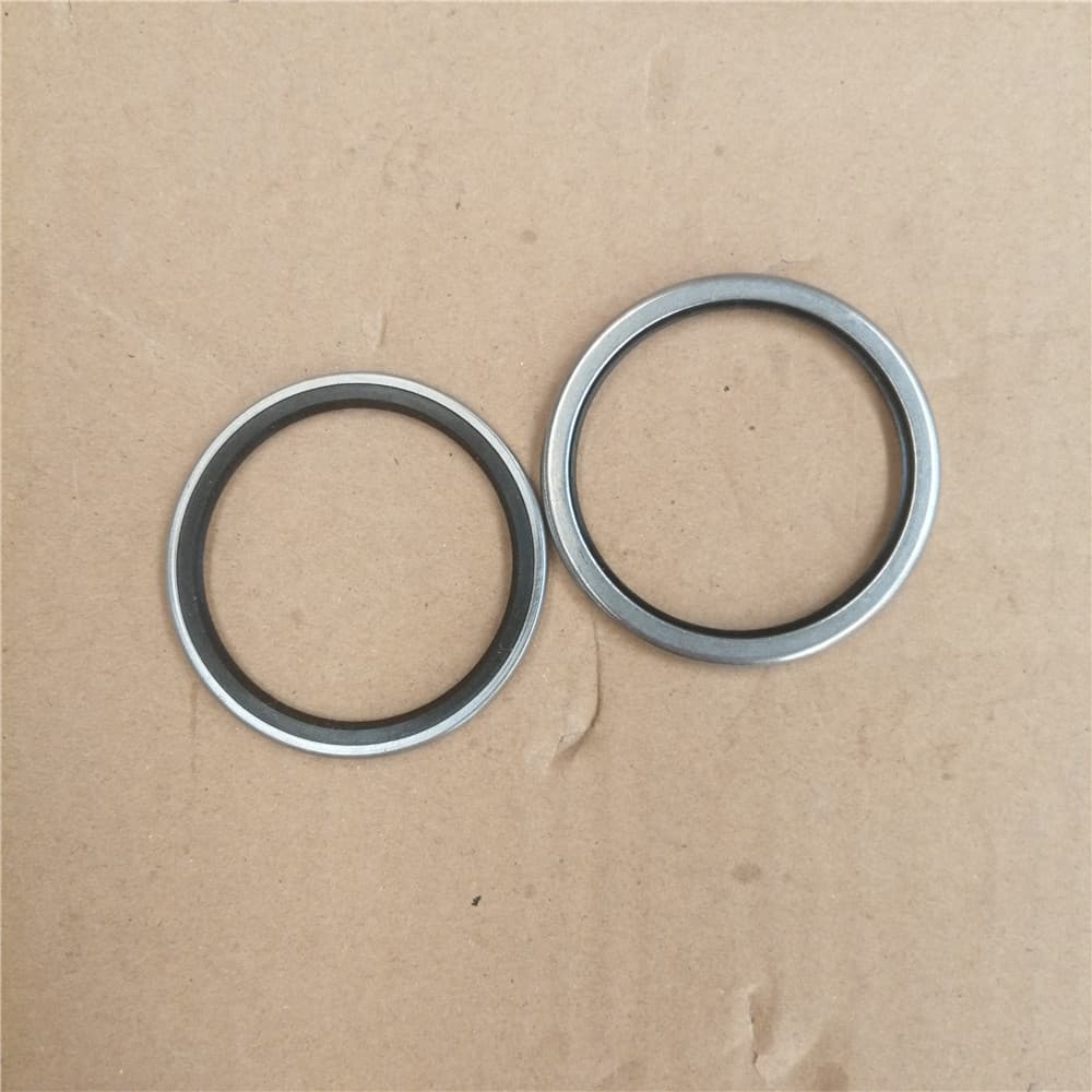 Dust seal