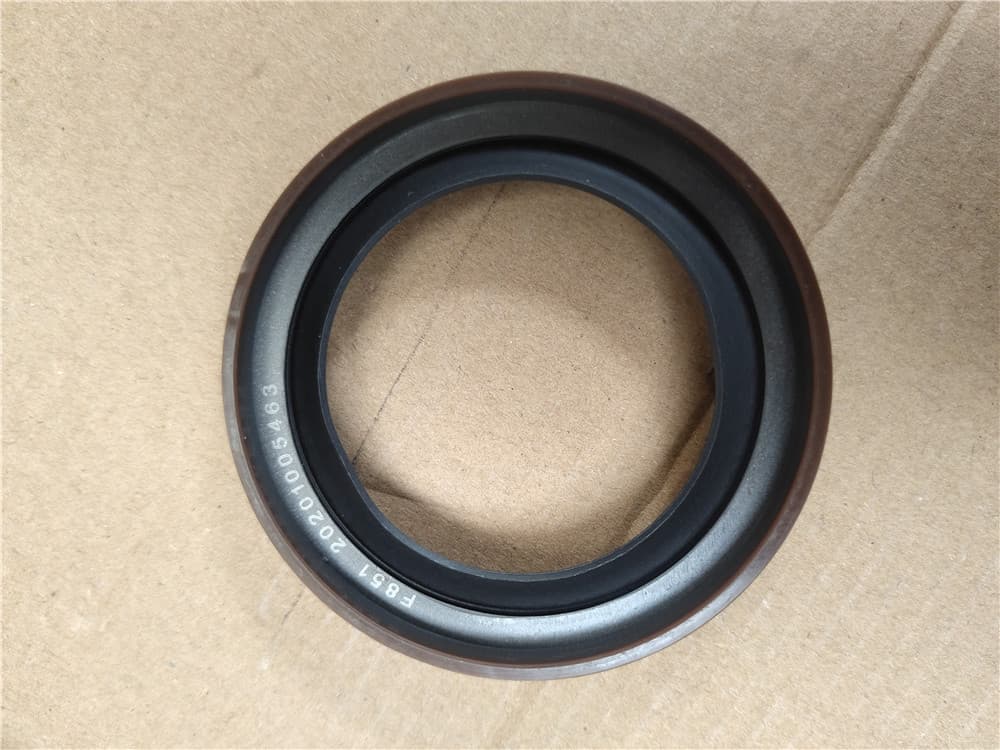Crankshaft rear oil seal