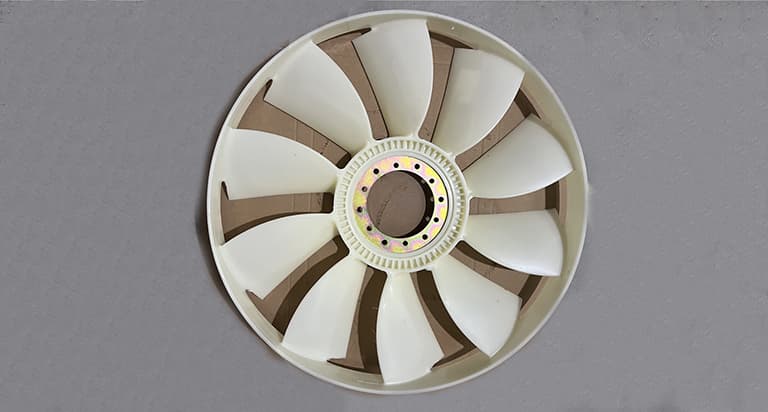 Fan