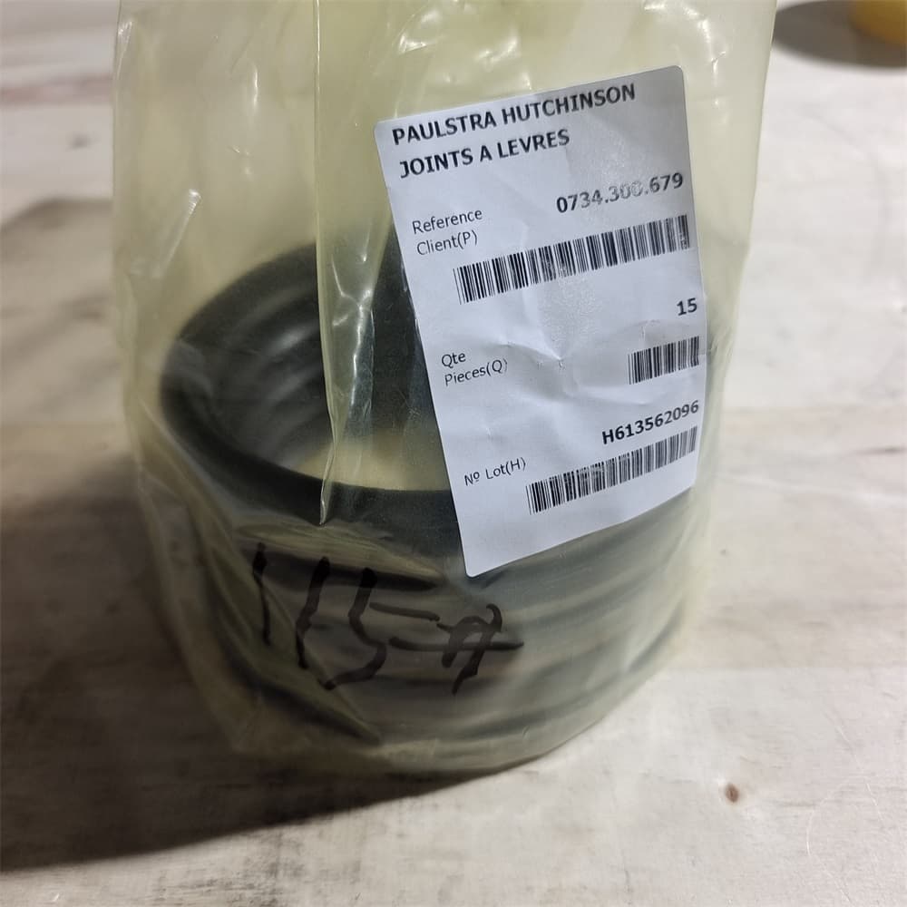 Oil seal?