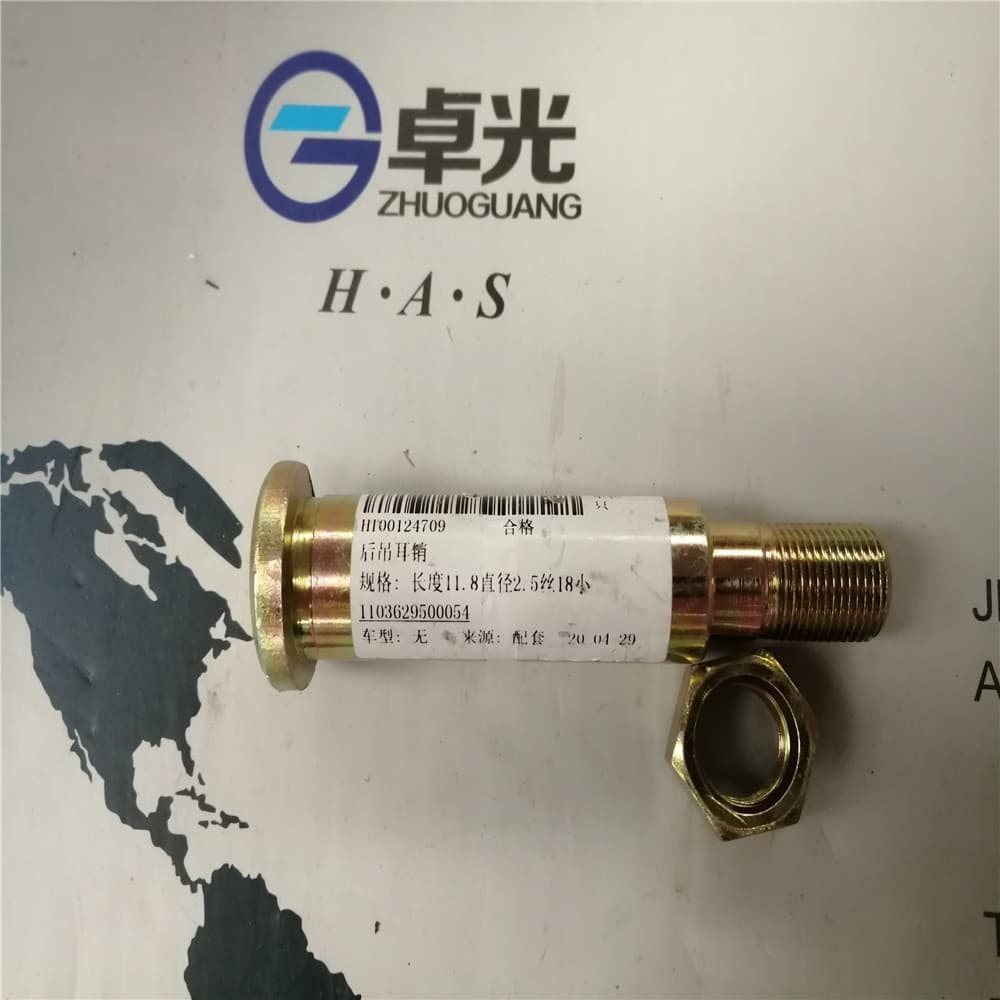 Rear ear pin