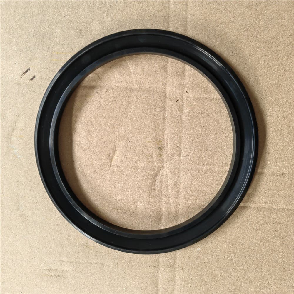 Differential seal ring