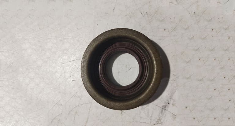 Flange oil seal