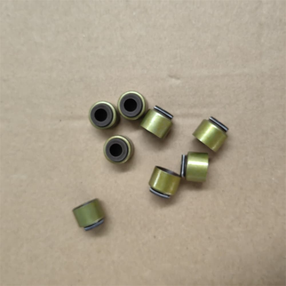 Valve rod oil seal