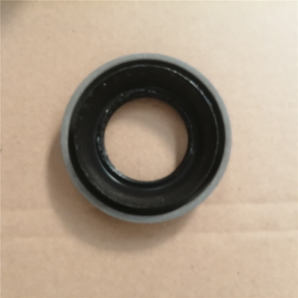 Differential oil seal