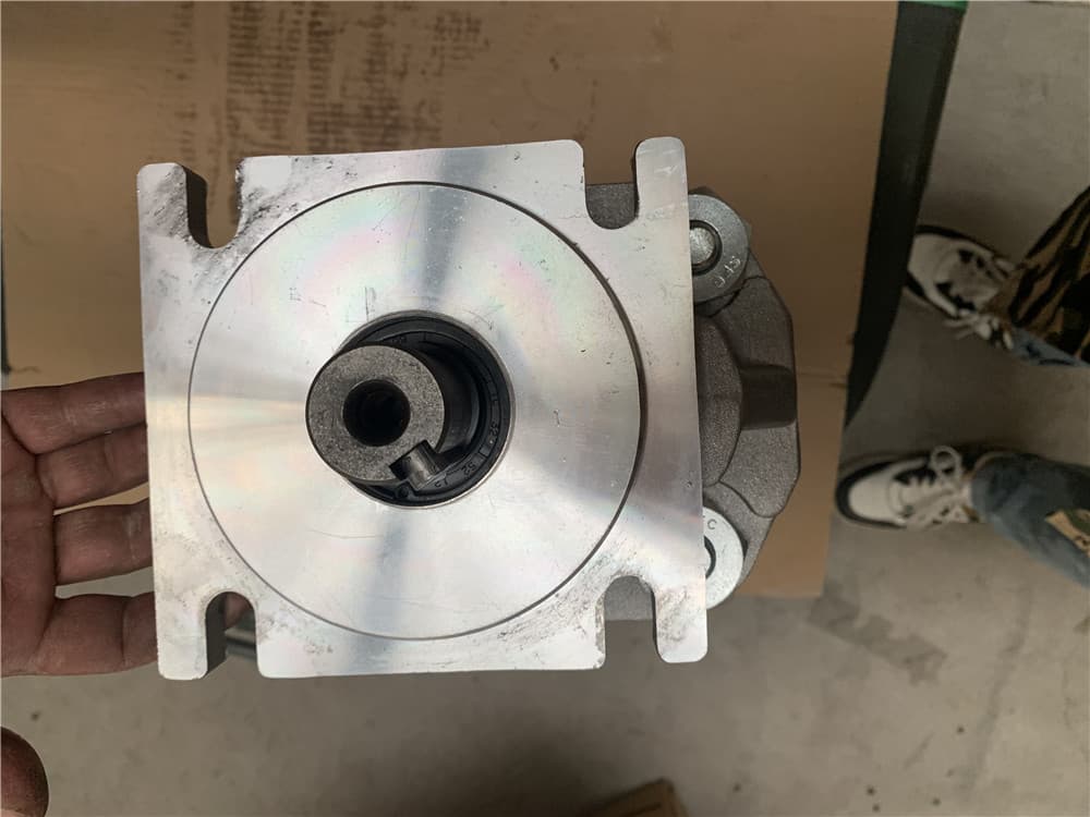gear pump
