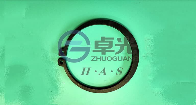 SINOTRUK Retining Ring 730.303.186