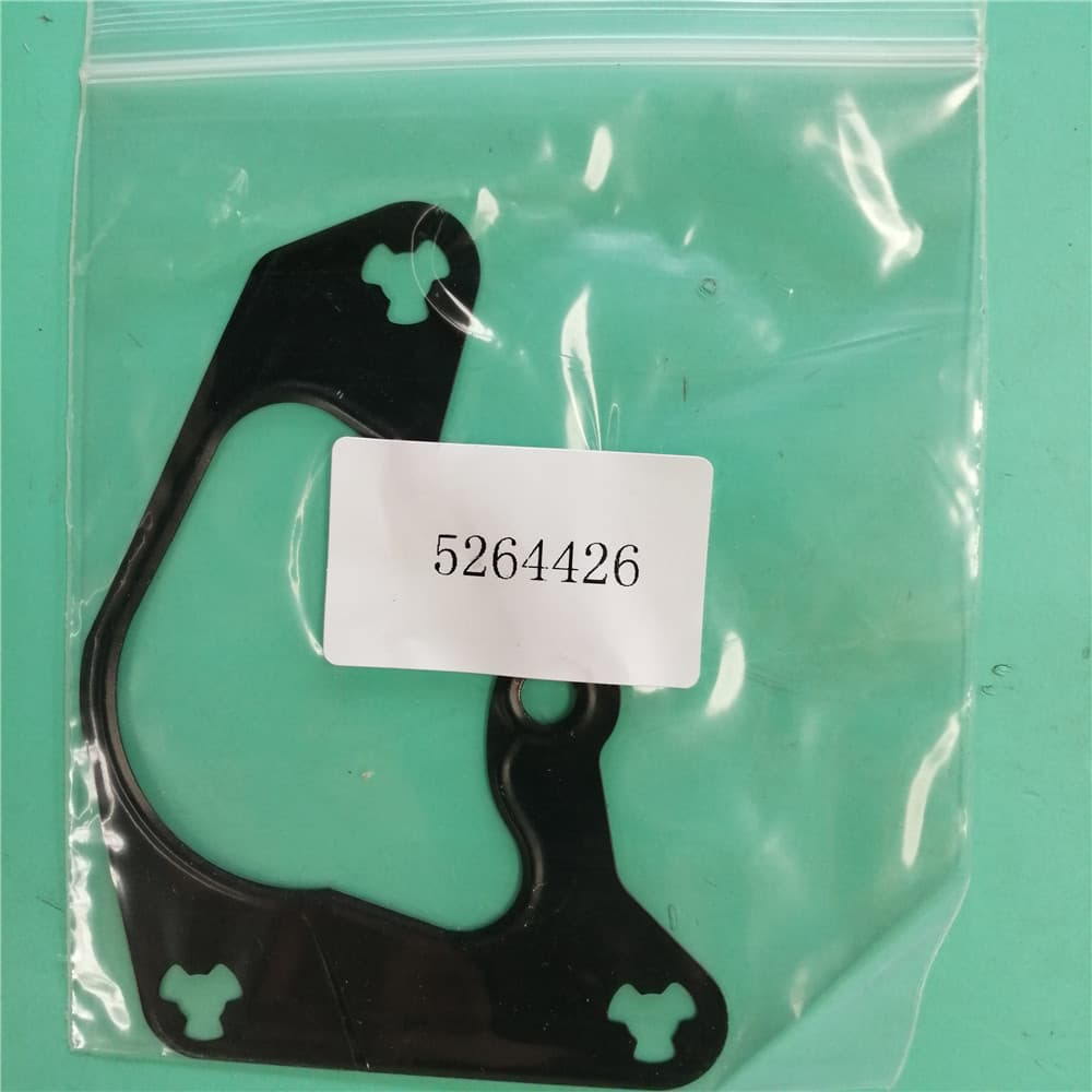 FOTON Vacuum pump gasket 5264426.3389249