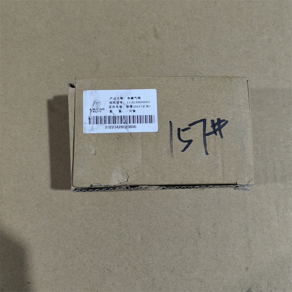 SOLENOID VALVE (MAGNETO 2 pin)