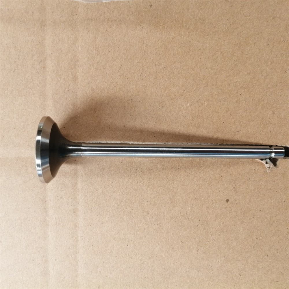Naveco exhaust valve 5256949
