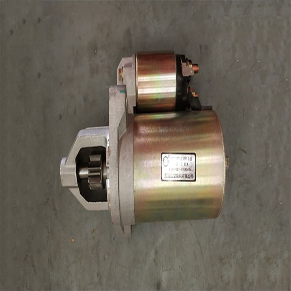STARTER ASSY