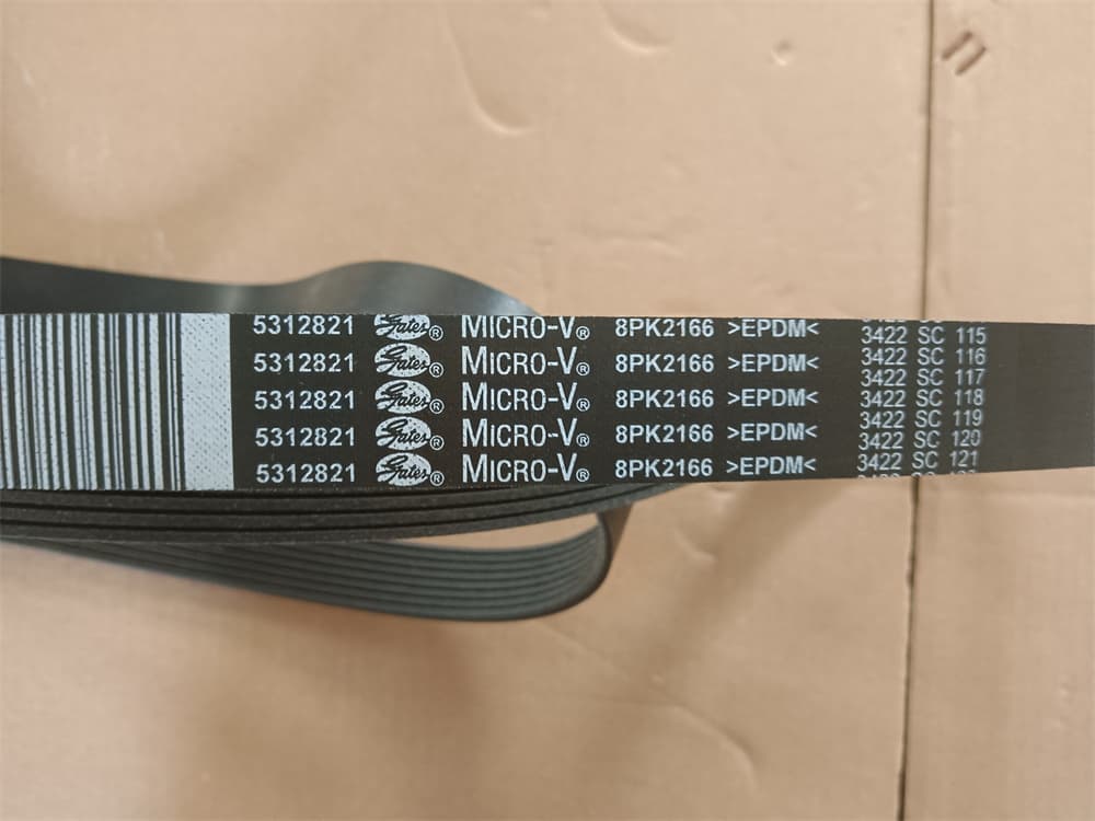 Belt
