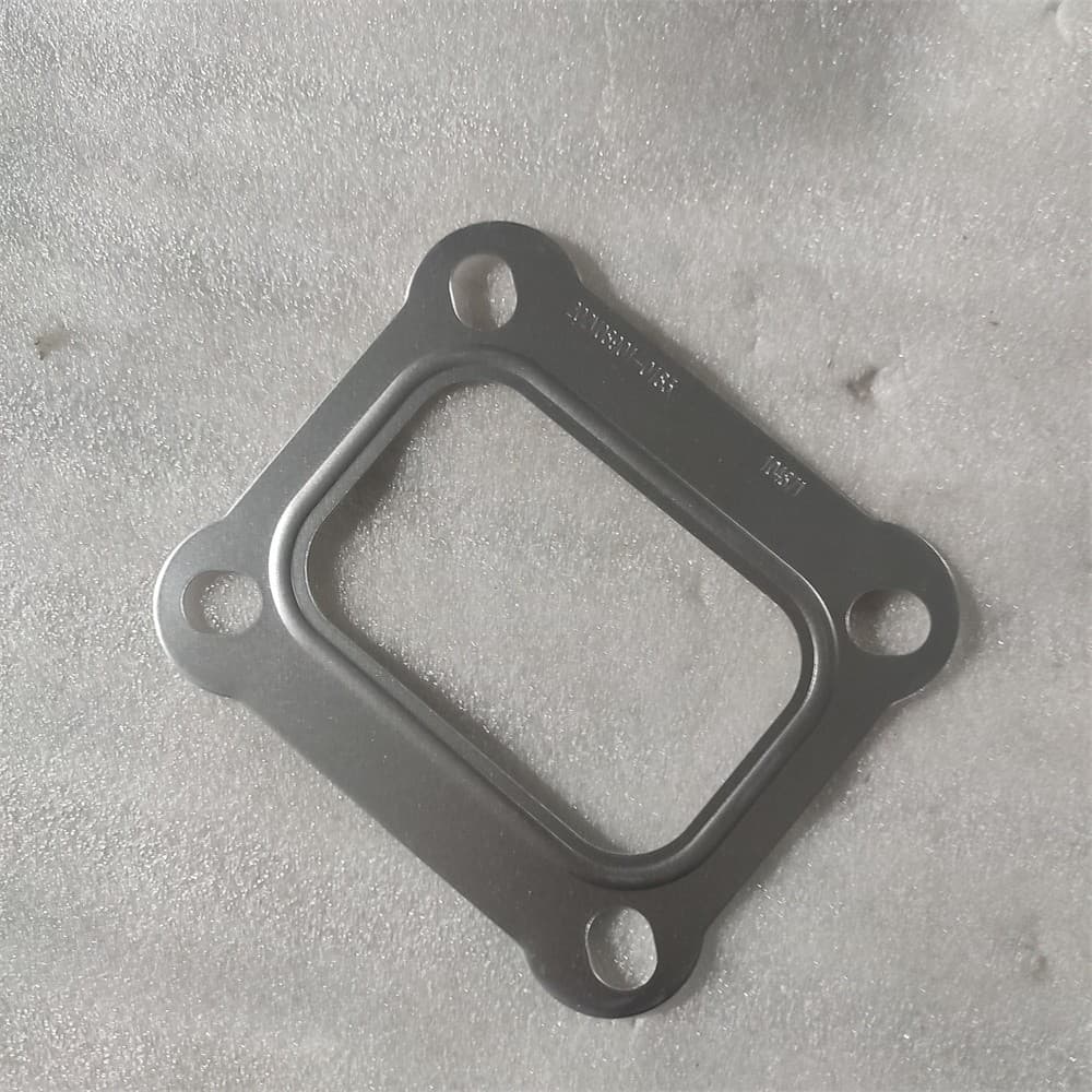Gasket?